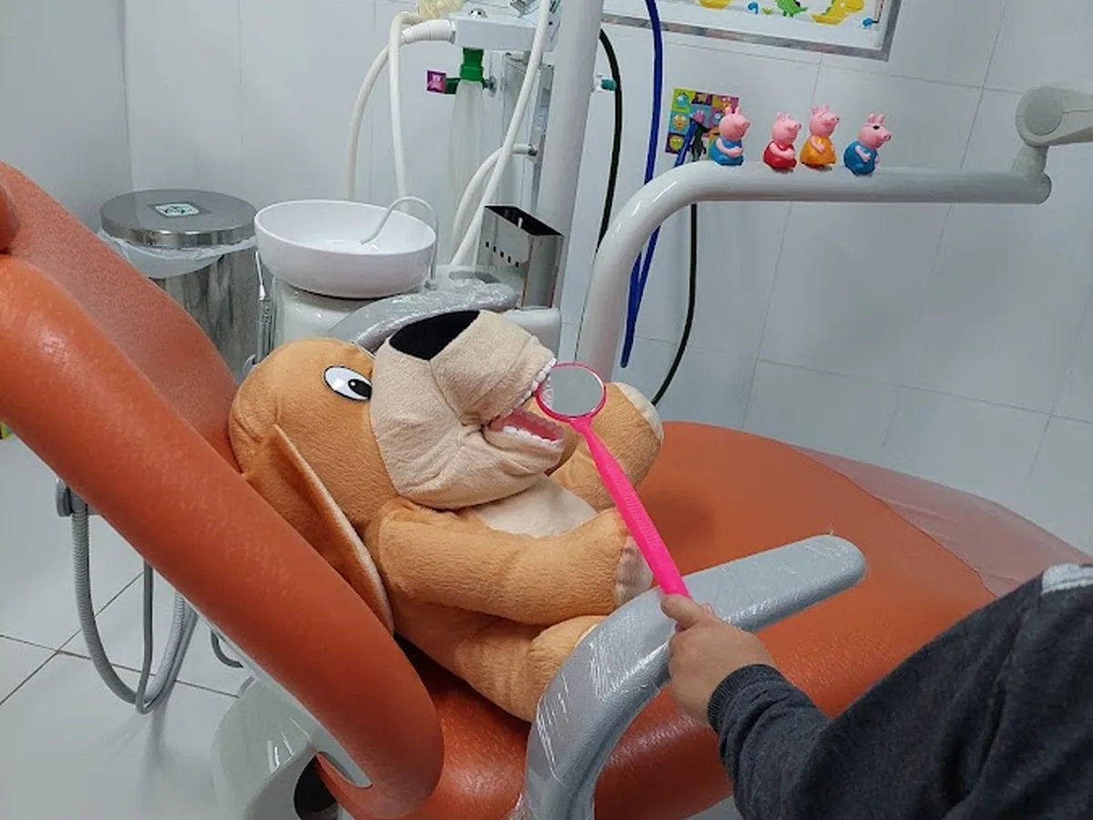 Dra Hanriete — dentista em Jardim Altos de Santana, São José dos Campos